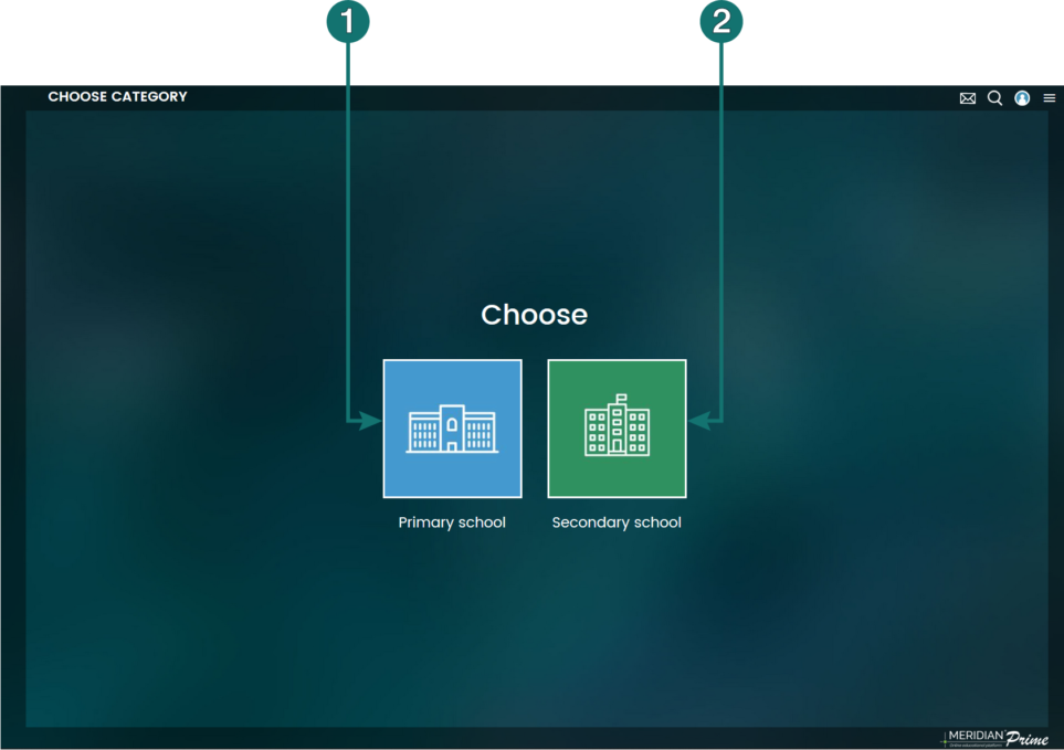 Choice of the teaching level